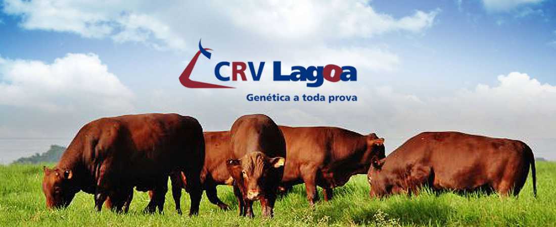 Devon Camboatã na CRV-Lagoa