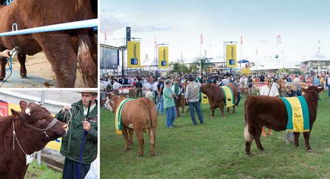 Expointer 2014 premia excelência da Camboatã Agropecuária